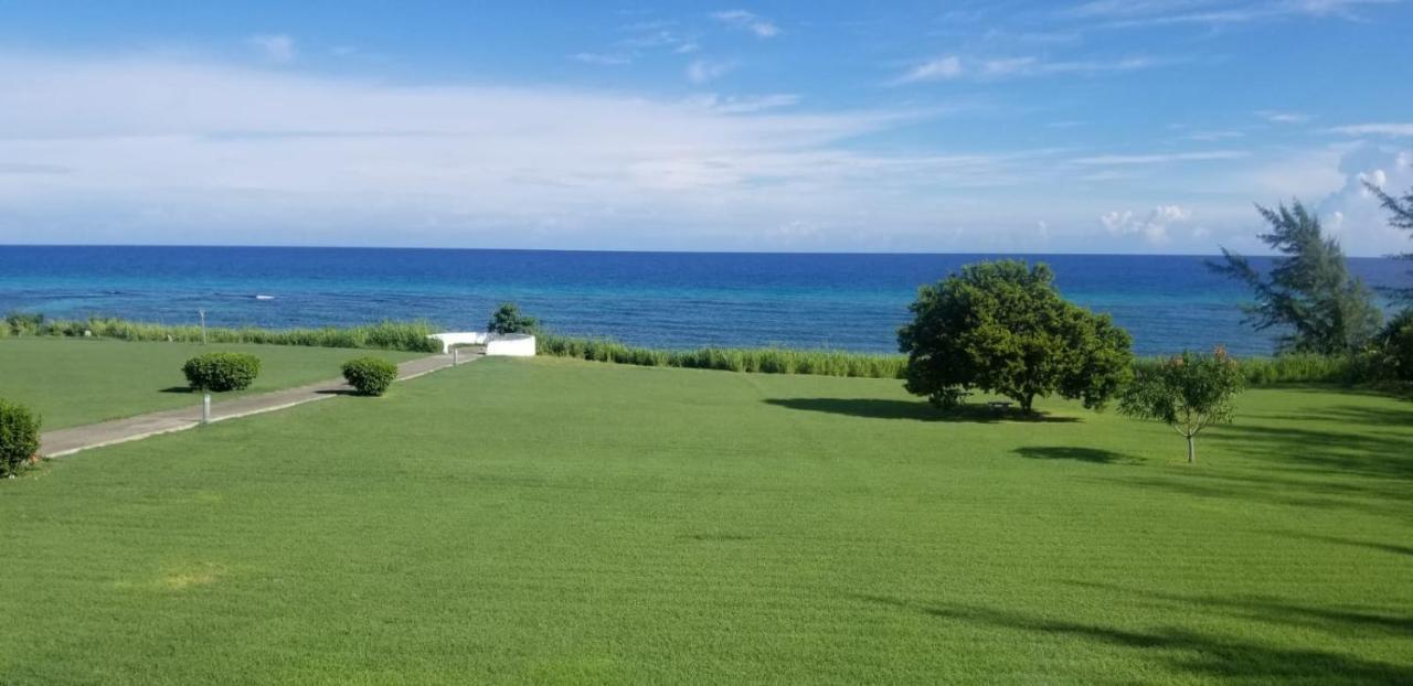 C'Daview Apartment Suite Montego Bay Zewnętrze zdjęcie